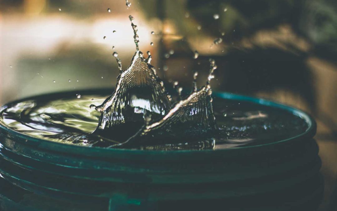 Le filet housse moustiquaire pour citerne et tonneau d’eau